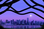 世界杯热身赛：阿根廷2-2战平德国，梅西任意球救主，世界杯阿根廷小组赛