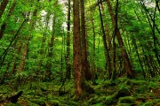 世界游艇青年赛国际志愿者互访圆满完成，游艇世界官网