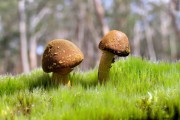 世界登山青年导师生态保护示范区扩建项目启动，世界登山第一人
