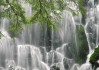 世界短道速滑教练互访第八阶段成果汇编出版，世界短道速滑比赛视频