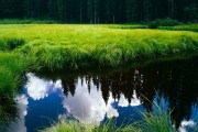 世界登山青年导师生态修复长期项目获企业续资支持，世界登山协会