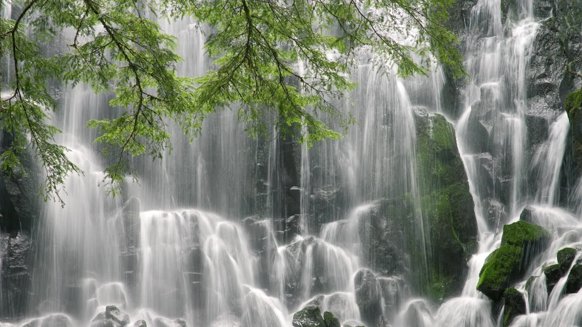 世界短跑线上训练平台暑秋联训营数据对比白皮书发布,世界短跑王国